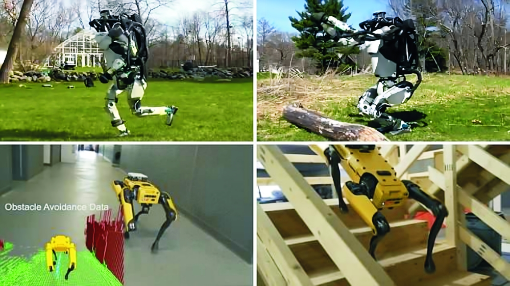 Exploring the Agility of the 'Parkour Robot Dog: Leaping, Jumping, and Crawling Capabilities Unveiled